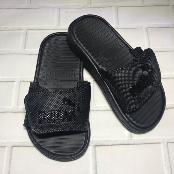 infant puma slides